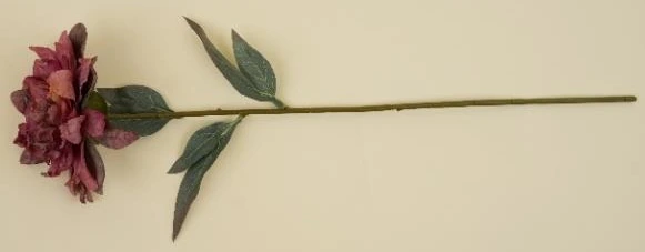 Single Head Wilted Chrysantemum Flower Stick